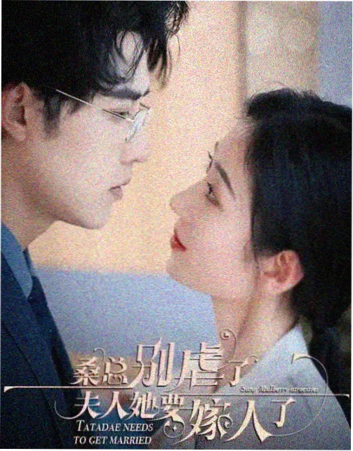 白塔之下剧集封面